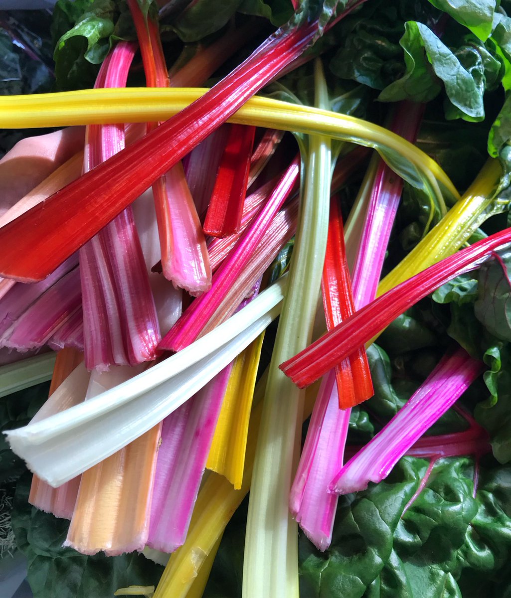InnNorthridge's tweet photo. We arenโt kidding when we say this is the true colour of the Swiss-chard we get from Spring Hill Farms โค๏ธ๐๐๐ #northridgeinn #northridge #getmenorth #swisschard #wow #insane #reallife #springhillfarm #cheflife #foodnetwork #colourmepretty #foodie #foodblogger #blogto https://t.co/P8SkXqmMMh