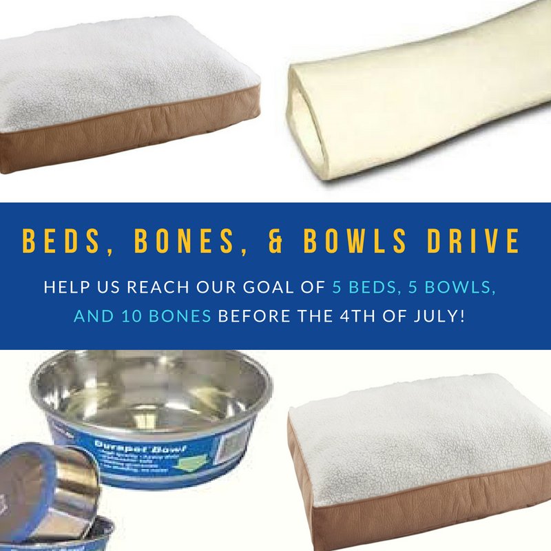 bestdogsinsight's tweet photo. We need Bed, Bowls, and Bones! Feel free to drop by the office before 4:30 PM Monday - Friday with these items. #donate #guidedogs #guidedog #workingdogs #guidedogsoftexas #sanantonio #texas https://t.co/22eHE3p6XJ