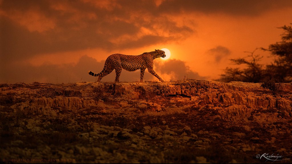 The Earth is made round so that we will not see too far down the road… 

(Out of Africa Quote)