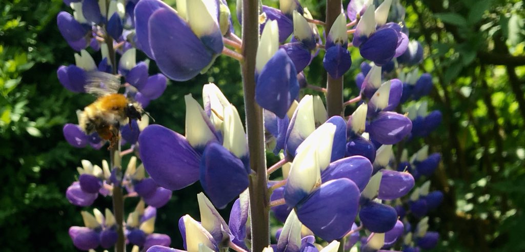 When writing requires you to take the office alfresco 🌿❤️