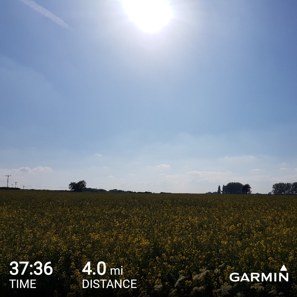 andyjread's tweet photo. Got home early so slipped in a steady 4 miler. 1st run after RnR Half on Sunday, like Sunday it was scorchio but enjoyed it, legs felt good, makes a change too have them uncovered, gettin some sun #MiniMilks π€£
Great to be back out π€ππͺ #Running #Loverunning #Nike #Garmin #2XU https://t.co/uH8fiIi9JT