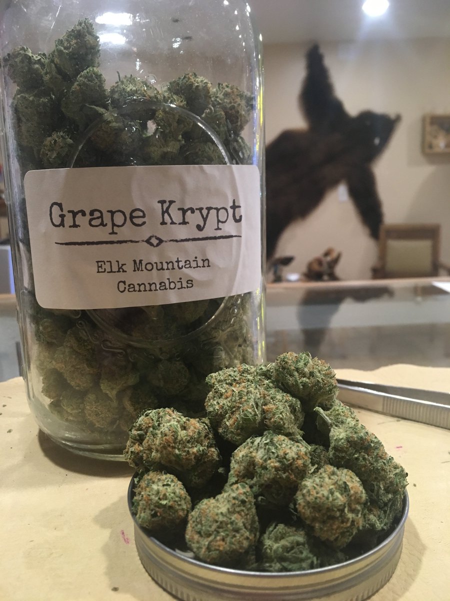 ElkMountain420's tweet image. We Have Two NEW STRAINS! #GrapeKrypt and #BearDance !! Get 'em Whle they're #HOT