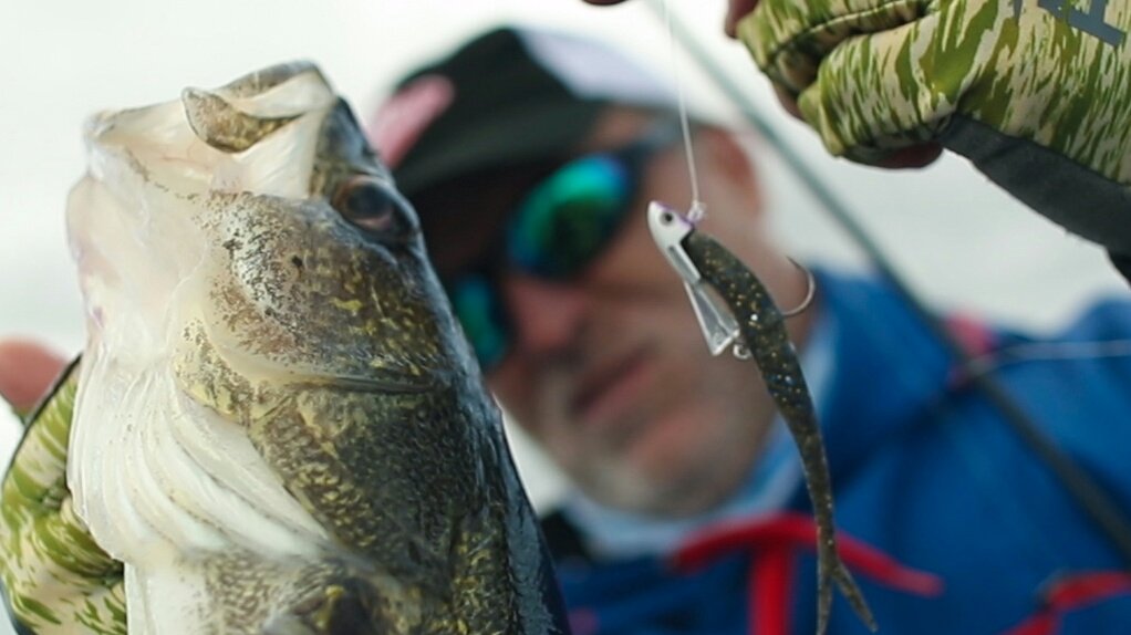 LakeCommandos's tweet photo. Post spawn walleyes are hungry! I've had success bouncing this snap jig off shallow humps. I love the erratic motion and so do the fish
@berkleyfishing #catchmorefish #fishmonkeygloves #snapjig #flatnoseminnow #maxscent #walleye #walleyefishing #walleyetactic #abugarcia https://t.co/UCeMNeiSh0