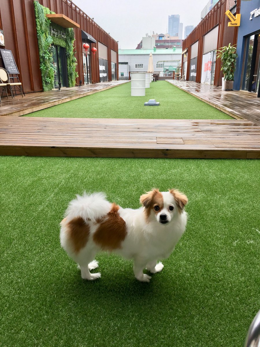 iriskimhj's tweet photo. 비가오면 더 운치있는 전시장
그저 평화로운 내공간
봄.봄.展 (spring : gaze) 개인전
장소-에스팩토리 1층 Agatha갤러리
(서울시 성동구 연무장 15길 11)
기간- 4/17~ 5/30일
#exhibition #spactory #복합문화공간 #AgathaGallery #개인전 #아티스트 #art #artist #artgram #김혜진그림 #김혜진작가 https://t.co/LV2yUjfa9c