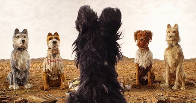 contrapicadot's tweet photo. #ReseñaContrapicado por Jackie de @cineyestilo
#IslaDePerros

Wes Anderson lo hizo otra vez. "Isla de Perros", la nueva apuesta stop-motion que cautiva en su propuesta. 
En un futuro imaginario de  Japón en la ciudad ficticia de Megasaki, donde su corrup… https://t.co/QVfKETcUnI https://t.co/dFtHK1nqvG