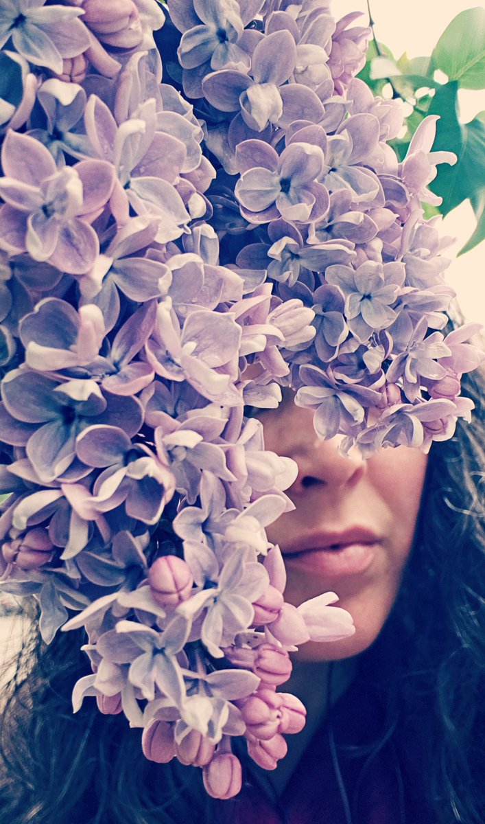 ReinaEast's tweet photo. Always stopping to smell the lilacs.

#naturalbeauty #olfactory #TorontoCompanion #MyOwnMuse
#yourprescription

#Rx https://t.co/h8mNMWjgGT