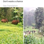Photo by Wanjiru Warui (@emmywarui)