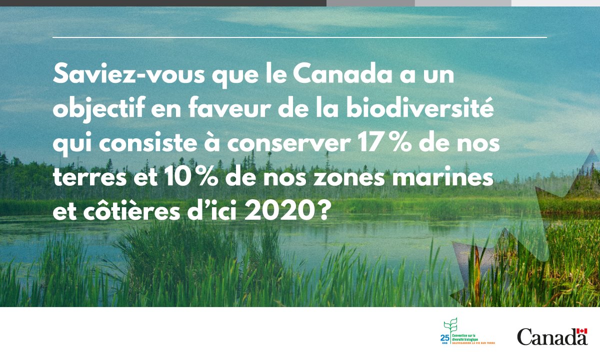 environnementca's tweet photo. Depuis que la Convention sur la diversité biologique est entrée en vigueur, le Canada a rehaussé la protection de terres et d’eau douce pour passer de 5,8 % en 1993 à 10,5 % en 2017. #JournéeDeLaBiodiversité #Conservation2020ca https://t.co/cDfSERWa2F https://t.co/qGk8vuEWzQ