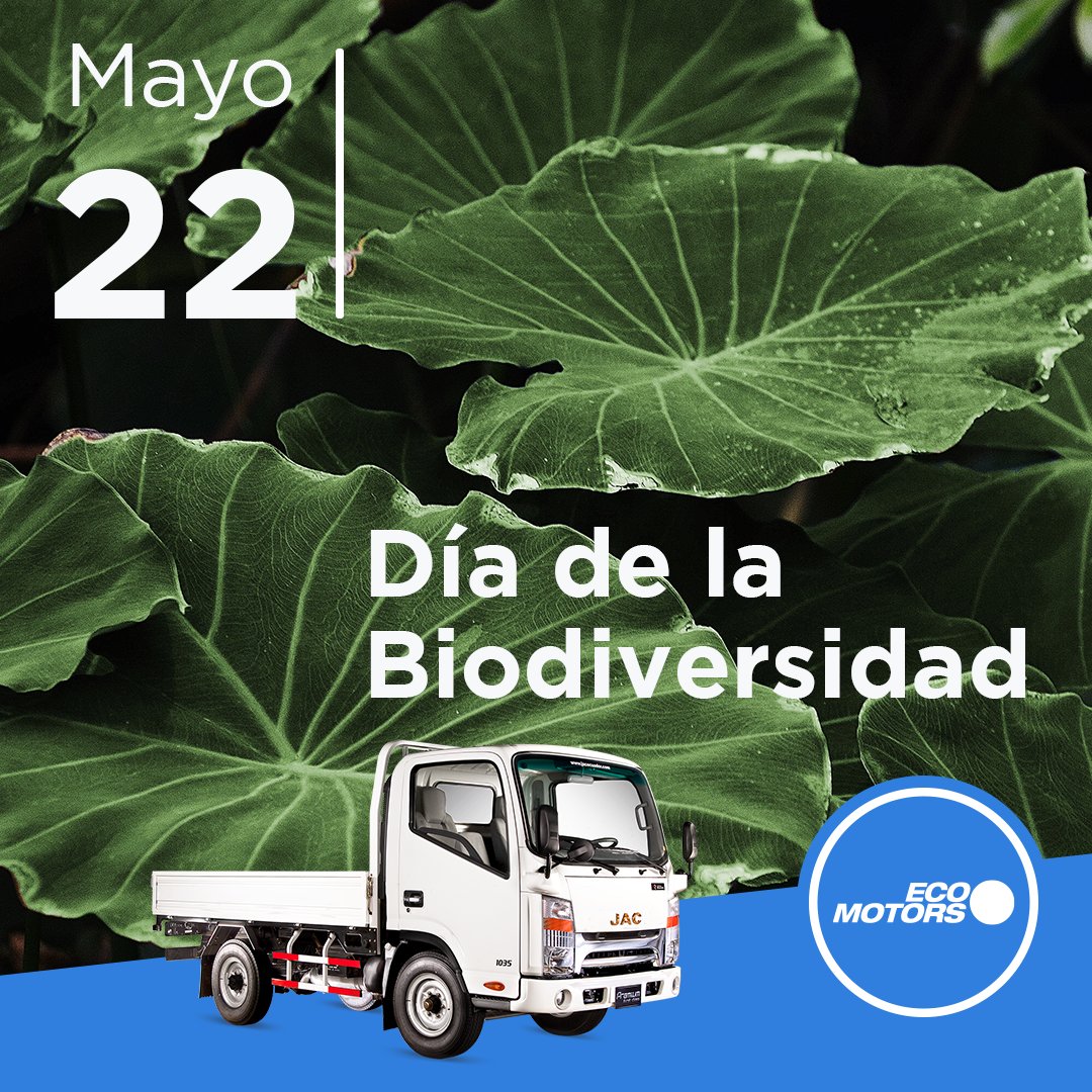 EcomotorsRD's tweet photo. La diversidad biológica de República Dominicana es una de las más ricas del Caribe y tiene el número más elevado de especies endémicas, de las cuales muchas están en peligro. https://t.co/RKBREkdeze