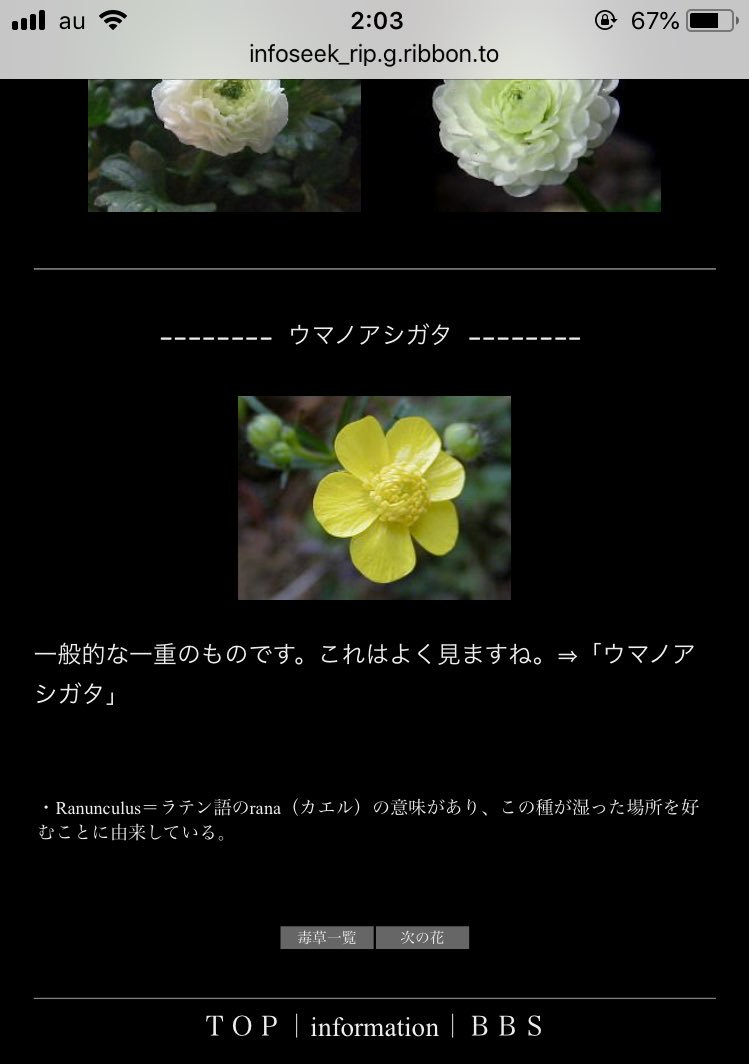 言い訳 בטוויטר 致死量どんなもんかな って検索してたらこれフラウィちゃん フラウィちゃんじゃん6枚だし 言い訳 בטוויטר 致死量どんなもんかな って検索してたらこれフラウィちゃん フラウィちゃんじゃん6枚だし