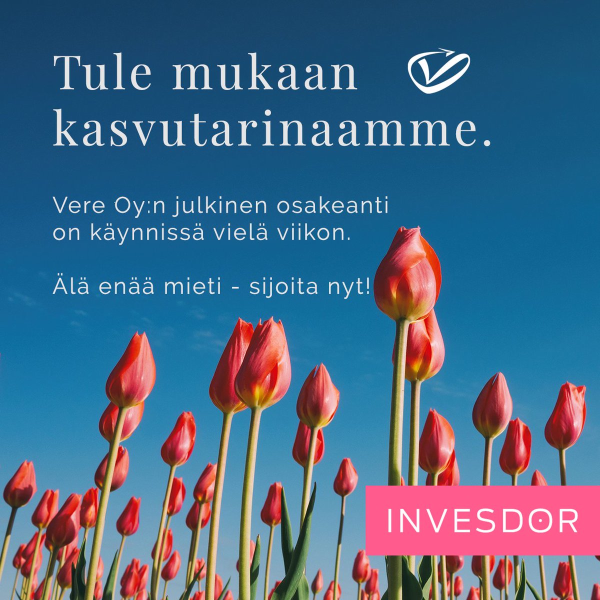vere_oy's tweet photo. ”Invesdorin alustalta rahoitusta hakeva #Vere on siitä #mielenkiintoinen #yritys, että se ei ole yhden uuden innovatiivisen tuotteen varassa. Samalla yritys tuo mukanaan merkittävän kokoisen ja hajautetun #upsidepotentiaalin.” @SalkunRakentaja 
#liiketoimintamuotoilu #osakeanti https://t.co/GcQM7tWjlH