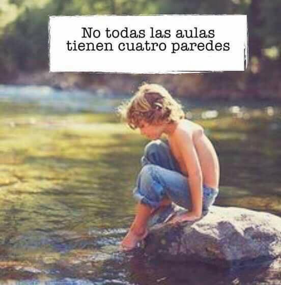 lauramusters's tweet photo. https://t.co/X2DN95aDVh