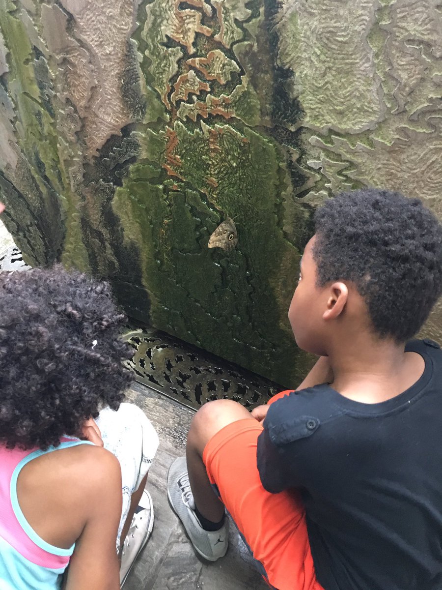 MrsSasser29's tweet photo. 3rs grade zoo field trip was a success!!! https://t.co/2kS3IVH0EH