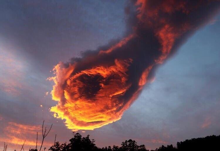 Nelson 151 tweet media