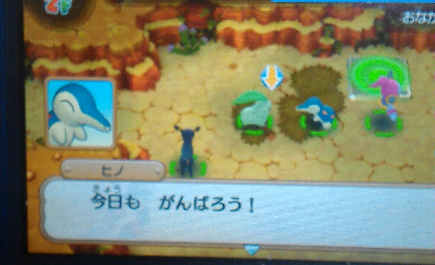 空旅かものすけ 進化もできるみたいだけど やっぱりこの光景が無くなるのは寂しいからヒノにはヒノのままでいてもらおう もちろん主人公 チコリータ も 進化させる人ってどれくらいいるんだろう ポケモン 超不思議のダンジョン T Co
