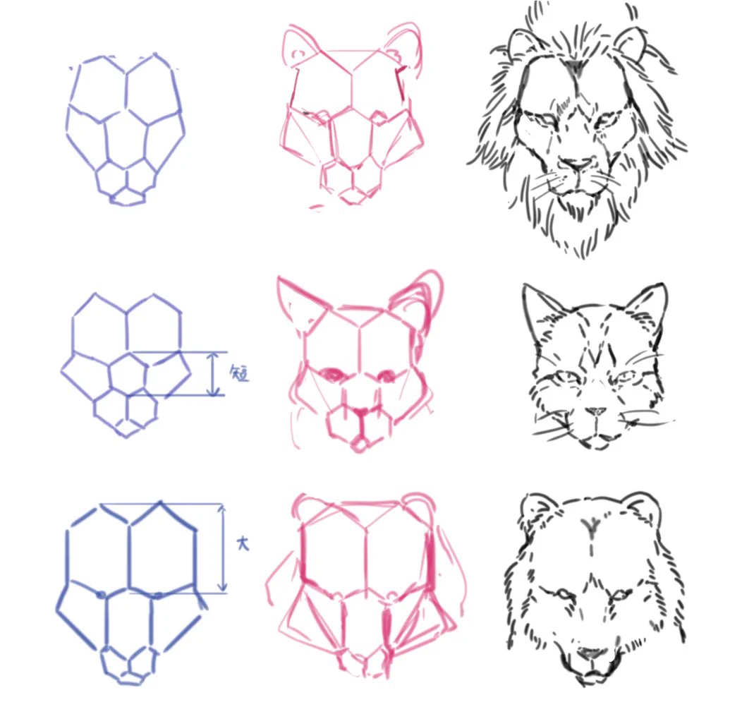 動物のイラストが苦手なイラスターさん集合！六角形を利用すれば上手に動物が描ける！