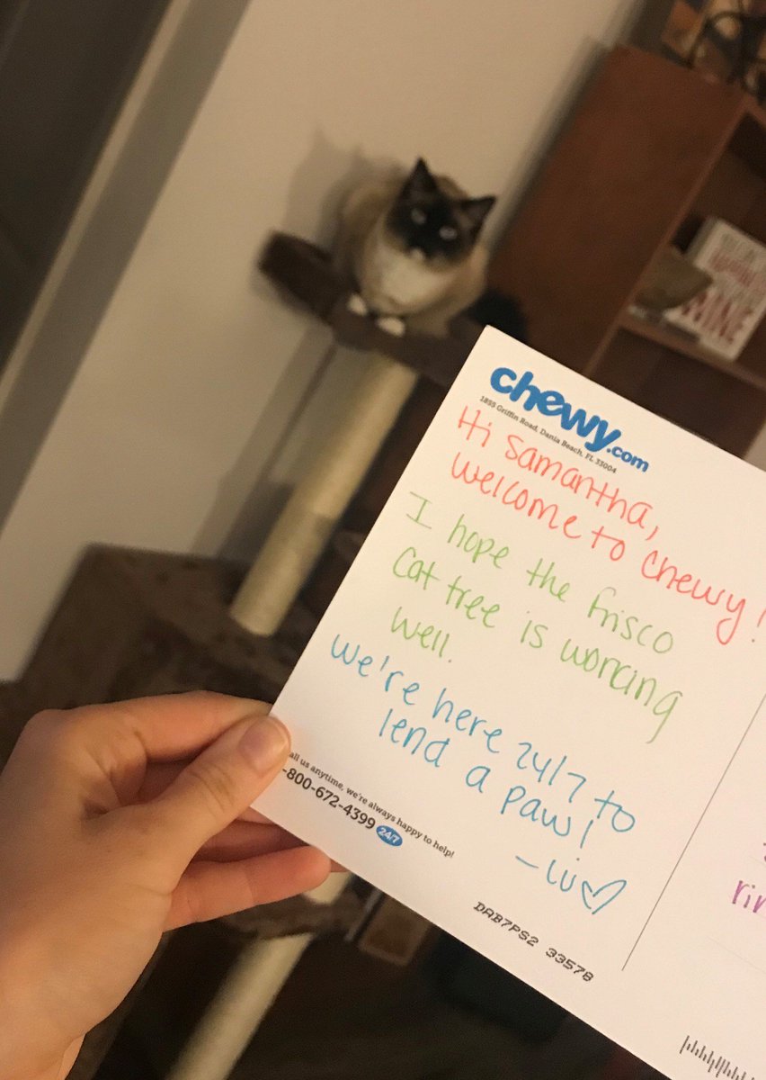 SamDowning_BG's tweet photo. Thanks for the personalized follow up @Chewy 

Macchi 🐱 is 100% satisfied with our purchase! @ADowning_BG https://t.co/jkHzcVxsNZ