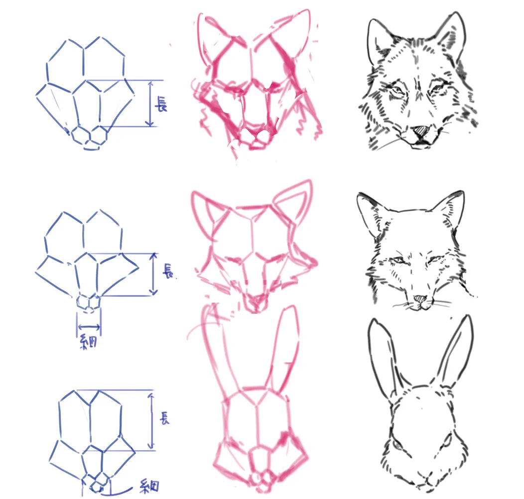 動物のイラストが苦手なイラスターさん集合！六角形を利用すれば上手に動物が描ける！