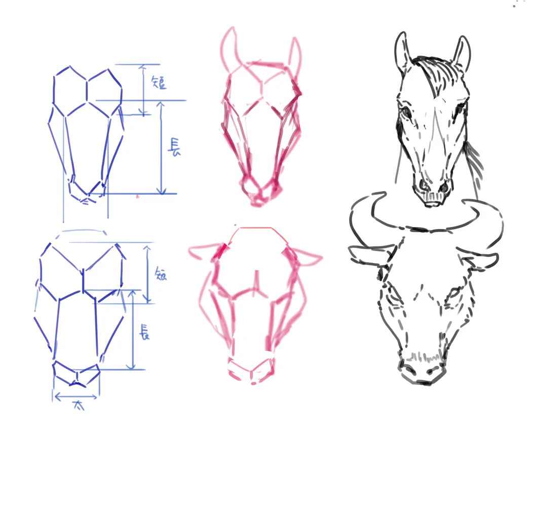 動物のイラストが苦手なイラスターさん集合！六角形を利用すれば上手に動物が描ける！