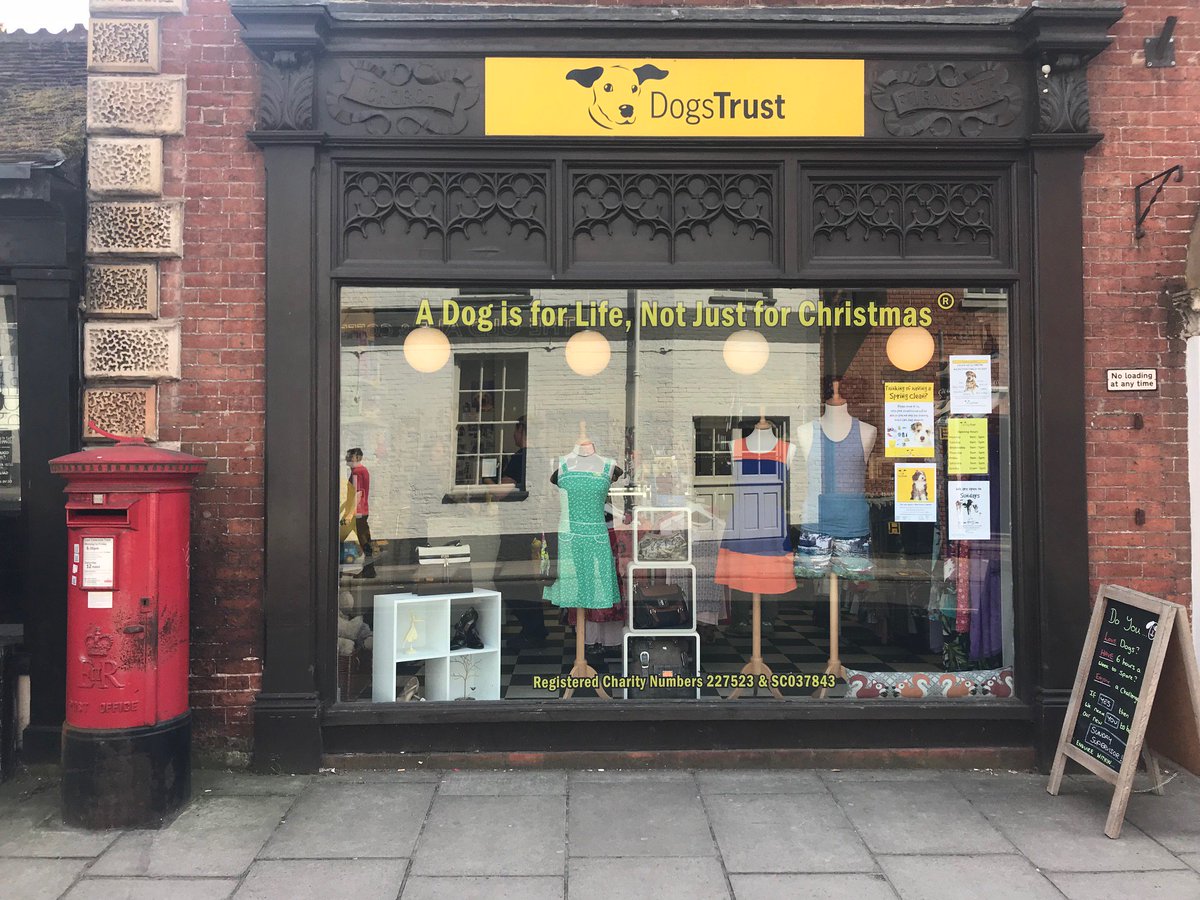 dog trust shop