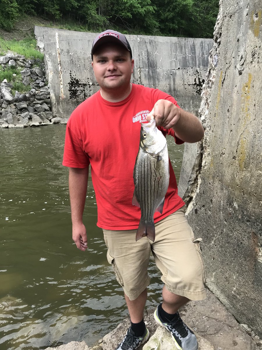 BackwoodAngler's tweet photo. 17 in. Wiper caught on a minnow🤙 https://t.co/8hnwyY9Y9g
