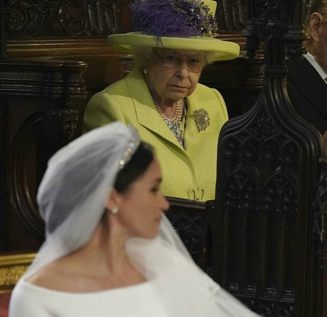 floletoaba's tweet photo. Am I the only one who sees nothing wrong with this stare? 😄 https://t.co/Pq7SJgdBJw