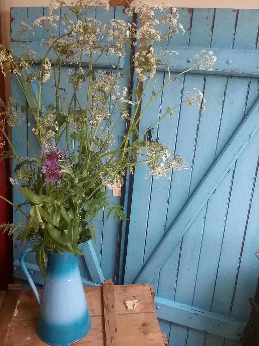 WoodruffBarn's tweet photo. Some lovely new French, recently arrived, now available @corbridgeantics I'm thrilled with it! https://t.co/zPhGu2QeP5
