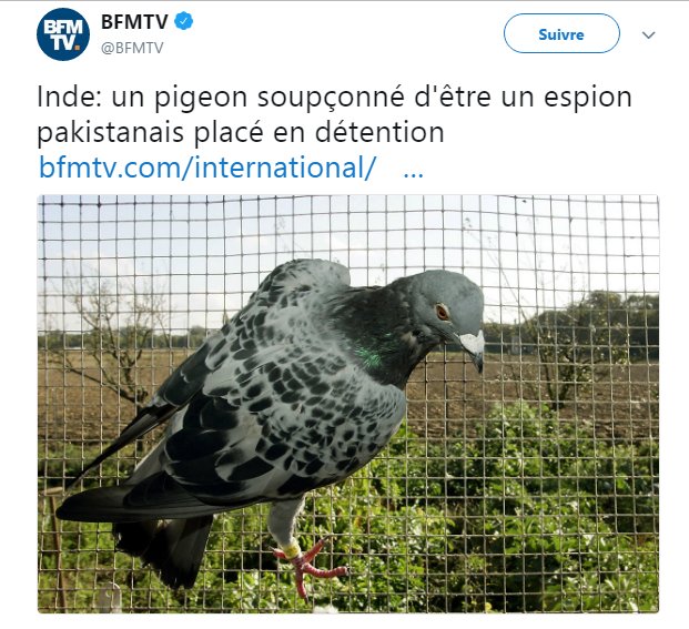 ElChocoFuriouz's tweet photo. L'inde, ce pays magnifique. Admirez les bienfaits du Gange à l'aide de 3 articles relatant les exploits de ce pays ! https://t.co/NFKUSCPLlh