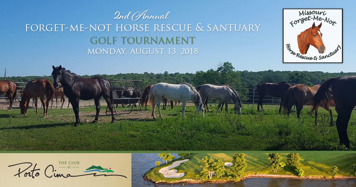 PortoCima_LOZ's tweet photo. An awesome way to support an awesome organization!
$150 per person
Contact Roxie@missouriforgetmenot.com or 314-313-6272
#rescue #support https://t.co/t7LfSnvcTA