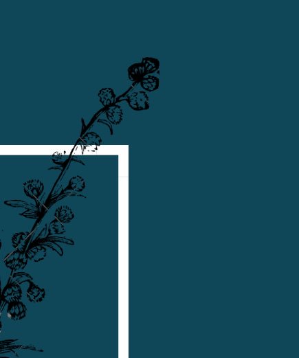 Pure Sonder (@pure_sonder) on Twitter photo 