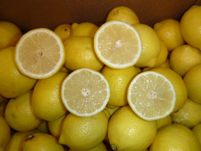 QC_OPERATIONS's tweet photo. 1st #Argentina #Lemon to the #USA #ArgentinaProduce #Produce
#fruits https://t.co/eYgPmKhoke