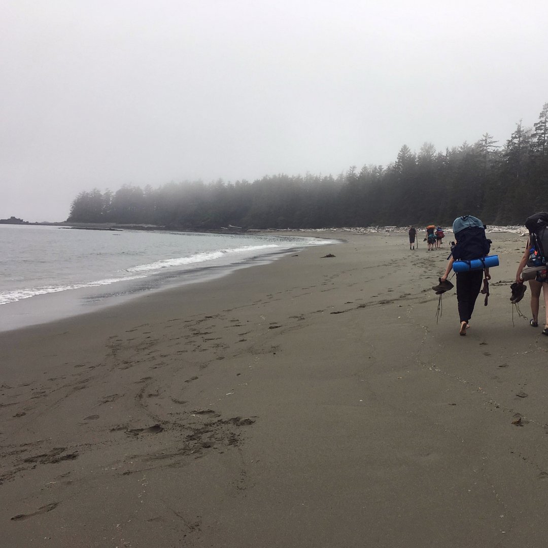 UCWeAreScience's tweet image. Today is International Biological Diversity Day. To celebrate we encourage you to check out our Instagram feed (instagram.com/ucwearescience/) and follow the adventures of our ambassador, Christina, at the Bamfield Marine Sciences Centre. #bamfieldmsc #oceanscience