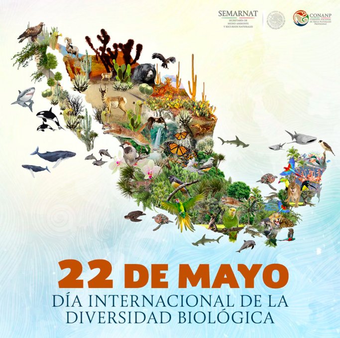 hengshengmx's tweet photo. #México es el quinto país más megadiverso del mundo, hogar de aproximadamente el 12% de las especies del planeta. #DiaDeLaDiversidadBiologica https://t.co/1Bb71pacEN