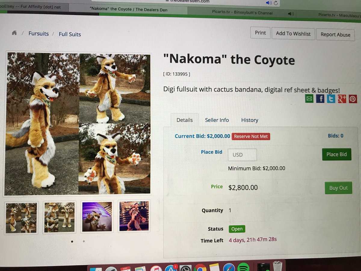 MommaMooElsey's tweet photo. @C_F_Studios Digi Fullsuit still available! NO BIDS! Go here for details &amp; bidding> https://t.co/GYccRuFGDu #furry #furryfandom #coyote #fursuit #auction #dealersden #CFStudios #canine #digigrade #small #sell #fullsuit https://t.co/TkZkF8at6p
