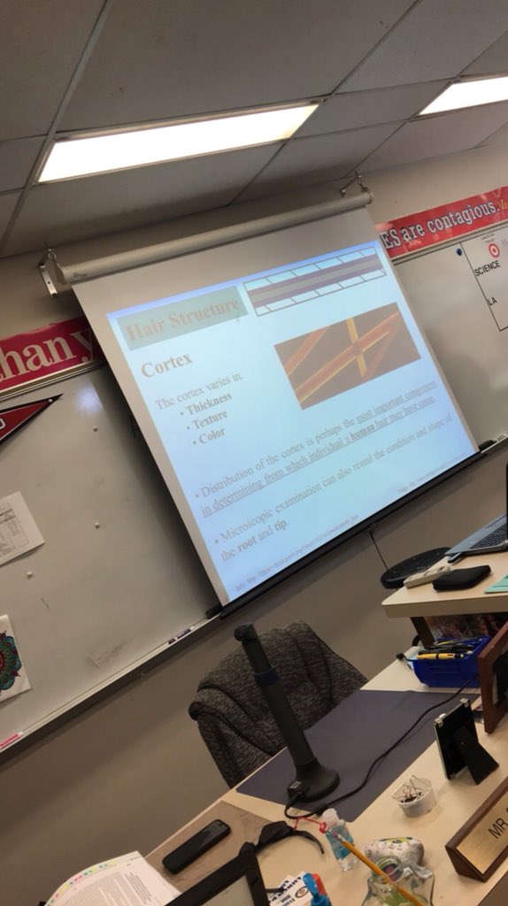 R_HutchersonAMS's tweet photo. In Mr.Segedis Forensics class they view different pieces of evidence &amp; see how they can be connected to https://t.co/tsa3RCDCMl they’re looking at hair &amp; fibers &amp; learning how you get DNA from the hair &amp;how you tell who’s head it came from.@Z_WilliamsonAMS #TrentonTuesday #BAMSCE https://t.co/FLrpCeoGRJ