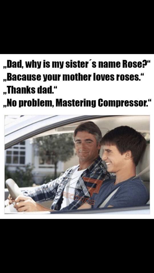 DigForestStudio's tweet image. 