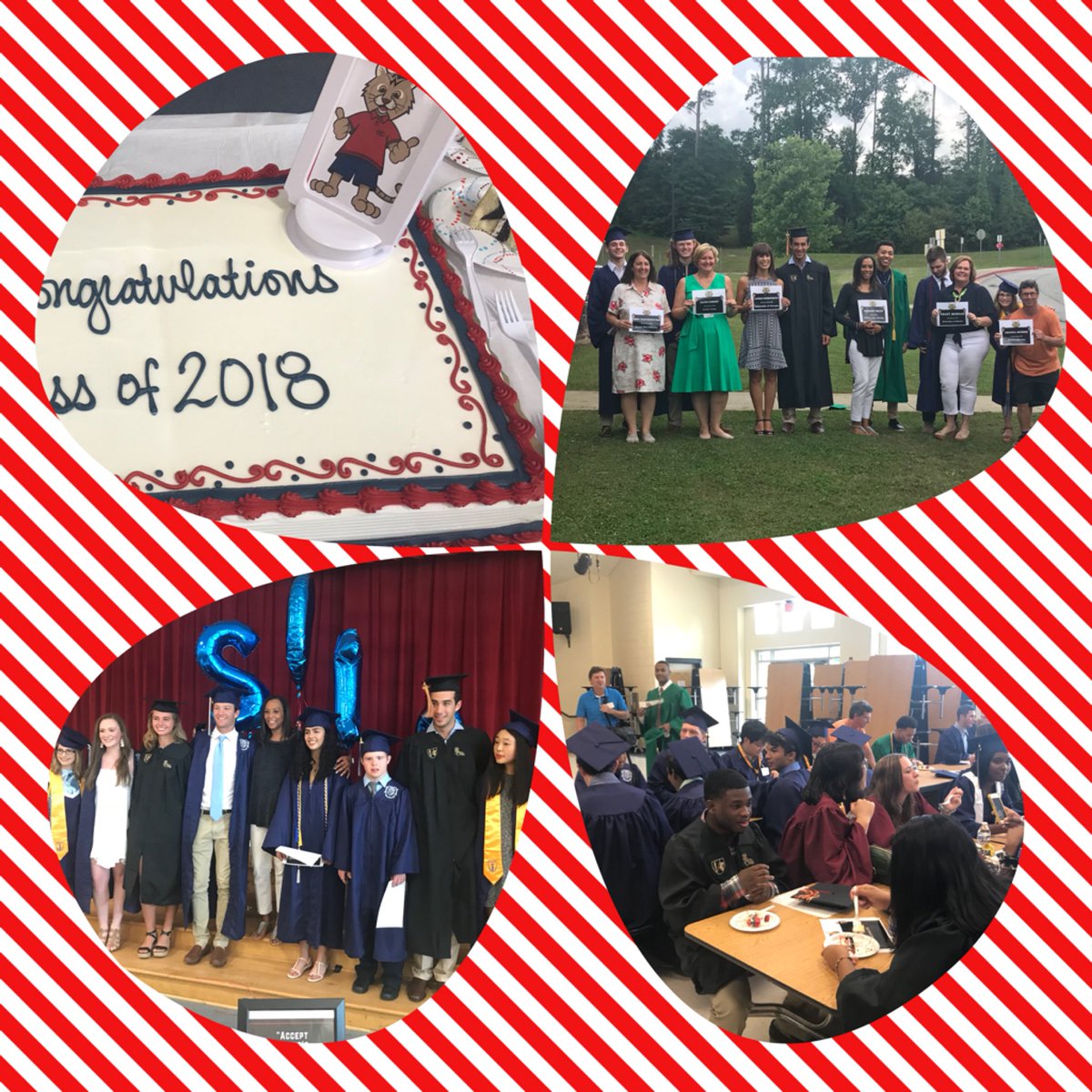 WilsonCreekES's tweet photo. Our favorite day of the year!!! Our Wildcats return for their walk of fame! Soar Wildcats soar! #classof2018 @ABCushing @jzdawg @LeadGladiator @briandowney15 https://t.co/Oevyo4Wh6H