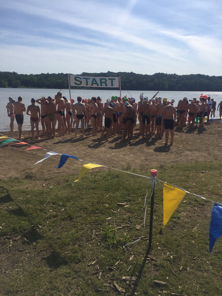 Michigan Swimming tweet media