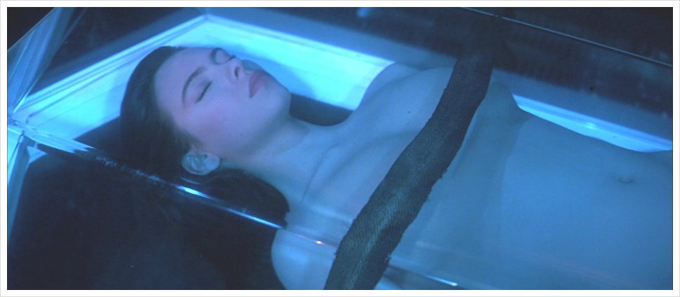 ARKHAMbrooklyn's tweet photo. #Lifeforce #TheSpaceVampires #TobeHooper #DanOBannon #DonJakoby #ColinWilson #SpaceGirl #MathildaMay #SciFi #Horror #1980sHorror #80sHorror 💀👽💀 https://t.co/dH4V1F1q6O