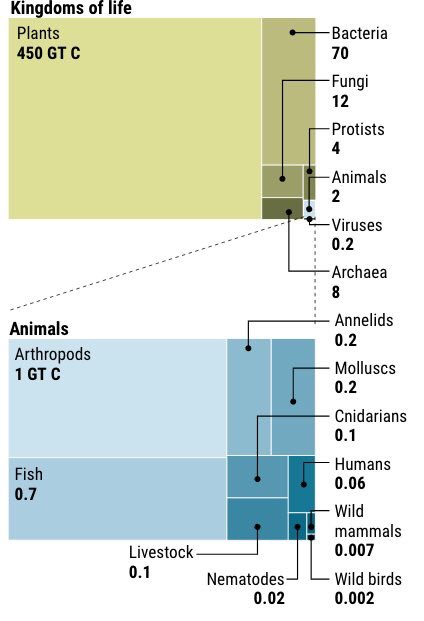 BoyanSlat's tweet photo. Humans and livestock comprise 96% of mammal biomass on earth. Fascinating stats in PNAS today https://t.co/z7pqO0DX0c https://t.co/XX9Mxxy1cZ