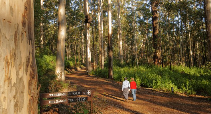 A sneaky escape to the Southern Forests and beyond? Don't mind if we do! Here's a taste of what you can find in this neck of the woods 🌲🍷🍁 bit.ly/2keFD2L