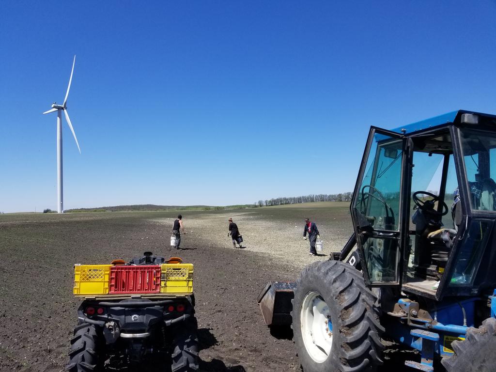 ROTOMUDSCRAPERS's tweet image. #SmartFarmingIs Picking the stones before they go through the combine. After several hours of drainage last fall, we decided to pick every stone to clean this 1/4. Eight hours with 5 people. #stonefree.
@FE_MichelleChar @tfollis97 @wadedavidbarnes