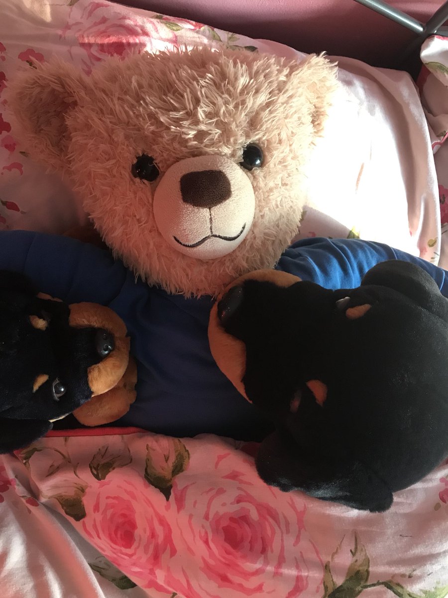 I think Woof Woof and Barker missed me while I was at work 🤔