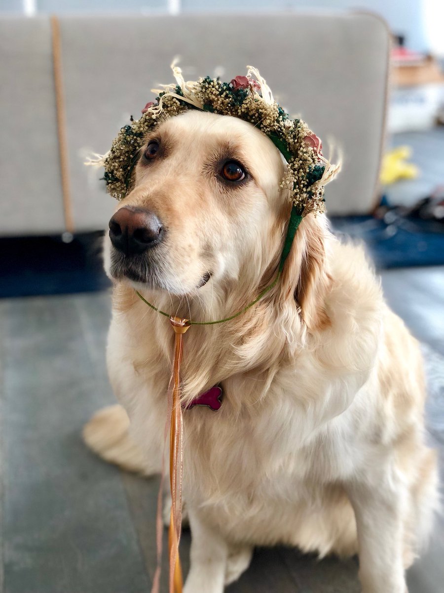 markiplier's tweet photo. I STAN A QUEEN https://t.co/DnZR3IT37p