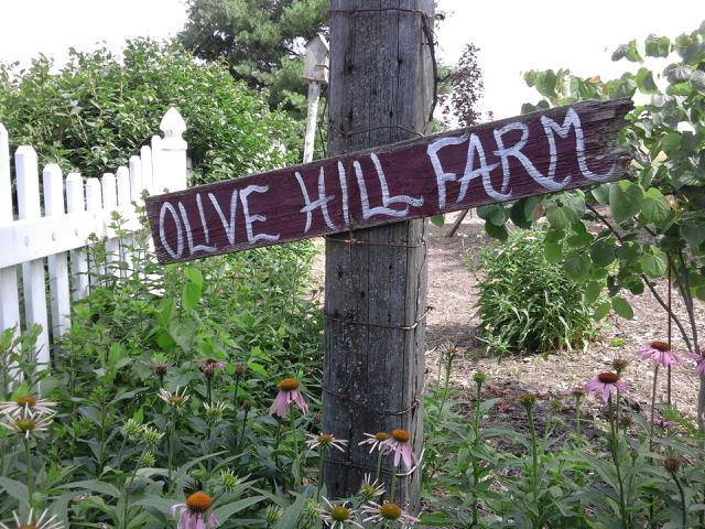 Richmond In Travel On Twitter Olive Hill Farm Craft Show Will