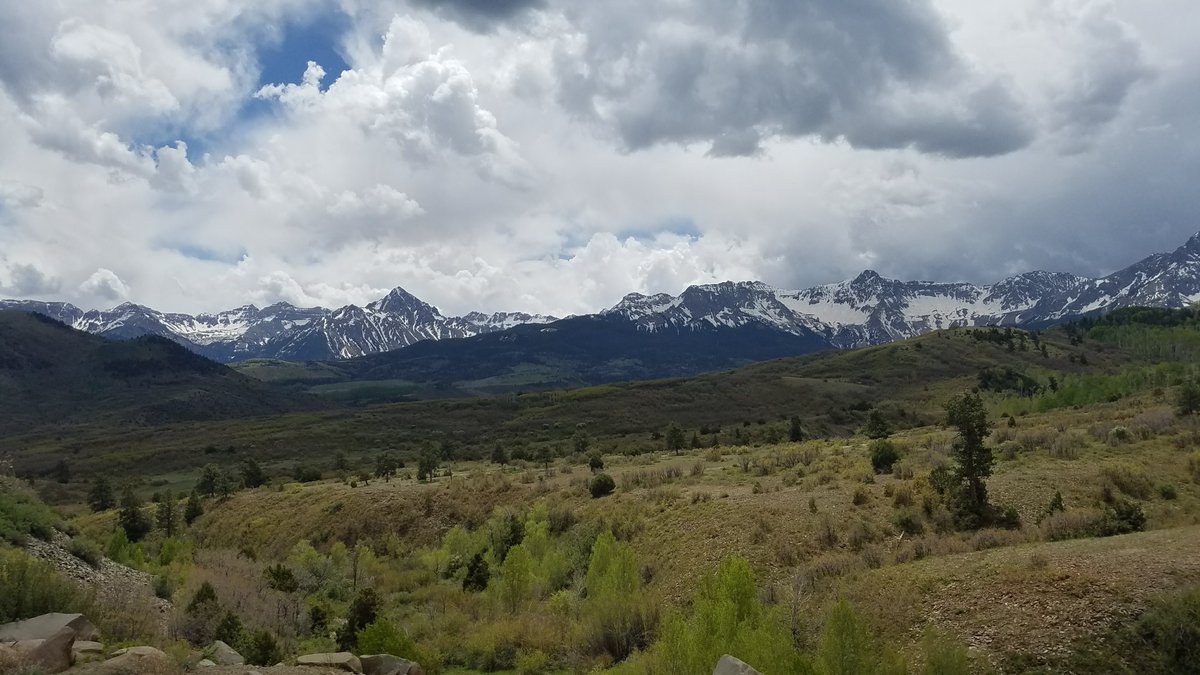 MacArthur tweet media