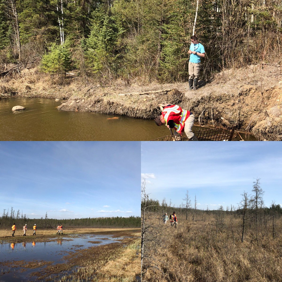 Selecting new peatland sites with UW Wetlands Hydrology Group as part of our work establishing hydrologic monitoring of wetlands within oilsands development areas with Alberta Environment and Parks.