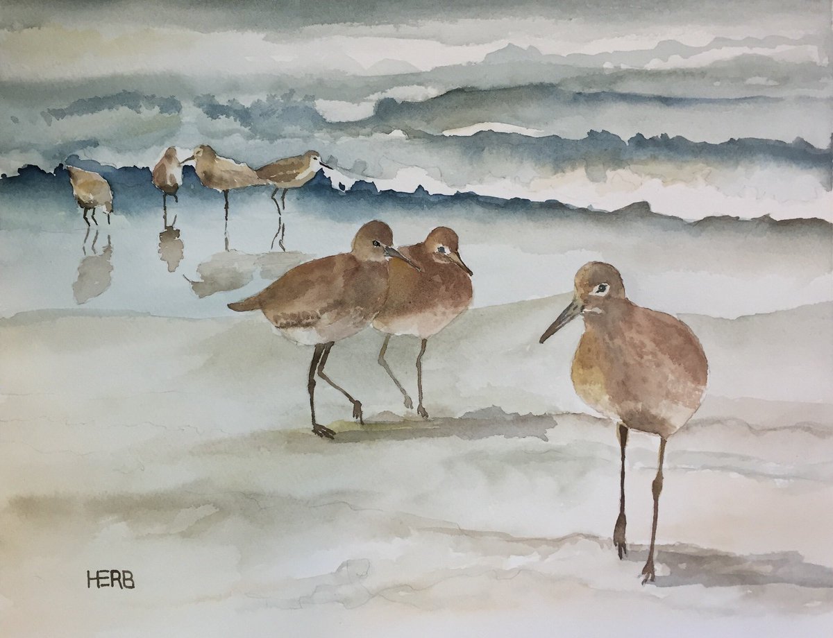 Serenasierra's tweet photo. A Feather Of The Sound 🦅 🐦
Paintings by Herb Willey
#afeatherofthesound #featherofthesound #birdsofthesound #MississippiSound 
@herbwilley
#HerbWilley #HERB #fineart #art #fineartist #transparentwatercolors #paintings #artcollect #artcollectors #artcollecting #birdsofbeachblvd https://t.co/K4x11BTk62