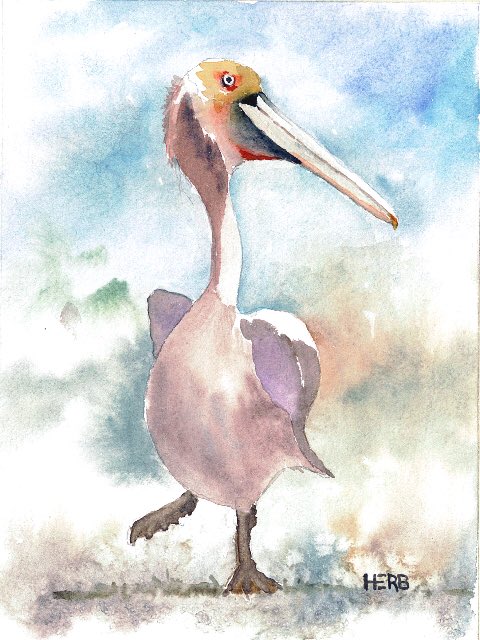 Serenasierra's tweet photo. A Feather Of The Sound 🦅 🐦
Paintings by Herb Willey
#afeatherofthesound #featherofthesound #birdsofthesound #MississippiSound 
@herbwilley
#HerbWilley #HERB #fineart #art #fineartist #transparentwatercolors #paintings #artcollect #artcollectors #artcollecting #birdsofbeachblvd https://t.co/DTn7CIMZSB