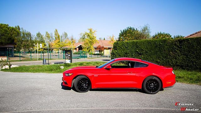 ClassicWheeler's tweet photo. Ford Mustang GT

#ford #fordmustang #fordmustanggt #mustang #mustanggt #oldtimer #youngtimer #carphotography #voituredecollection #carphotoshoot #carphoto #drivetastefully #vintagecar #vintagecars #carstagram #carvideo #carvideos #carspotting #voituredes… https://t.co/3aJg45VGg5 https://t.co/DlN4eDNl4k